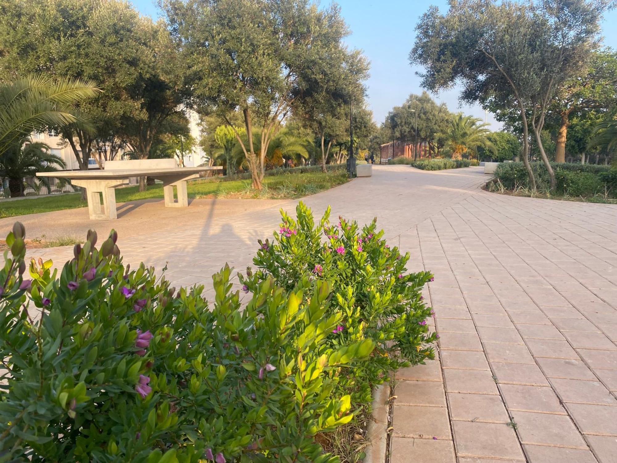 Cosy Greeny 3 Bdr - Downtown Near Oasis Train And Tramway Casablanca Extérieur photo